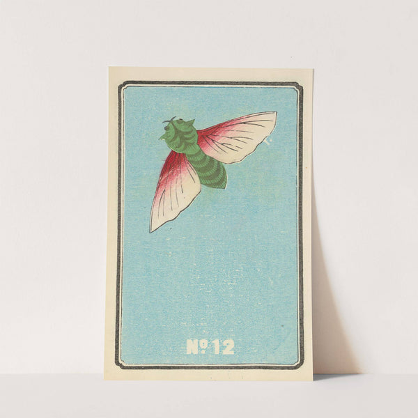 Illustrated Catalogue of Daylight Bomb Shells No. 12 by Jinta Hirayama