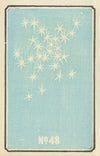 Illustrated Catalogue of Daylight Bomb Shells No. 48