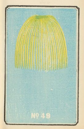 Illustrated Catalogue of Daylight Bomb Shells No. 49