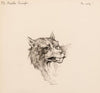 Illustration for The Song of Hiawatha (1889)