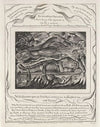 Illustrations of the book of Job Pl.12