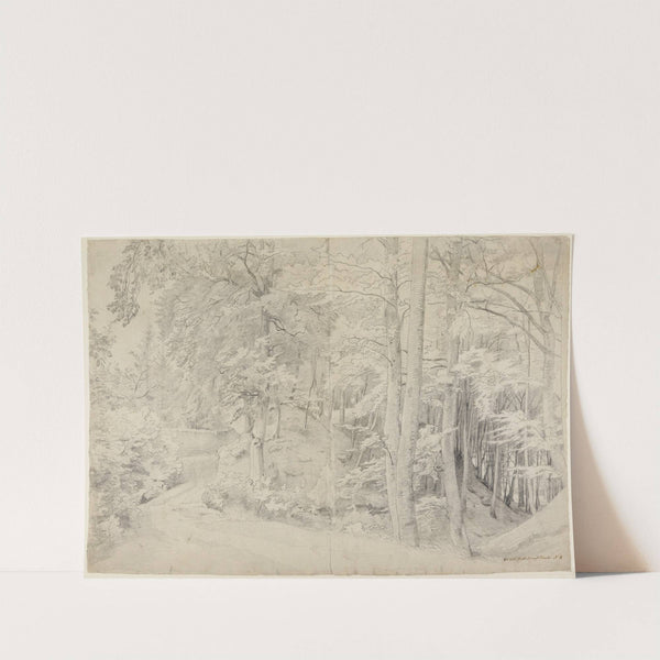 Im Buchenwald by Johann Wilhelm Schirmer