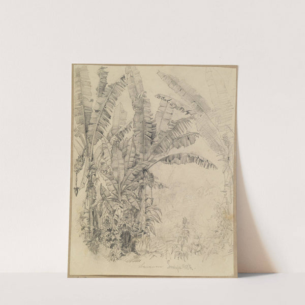 Im Urwald- Palmengewächse (1858) by Ferdinand Keller