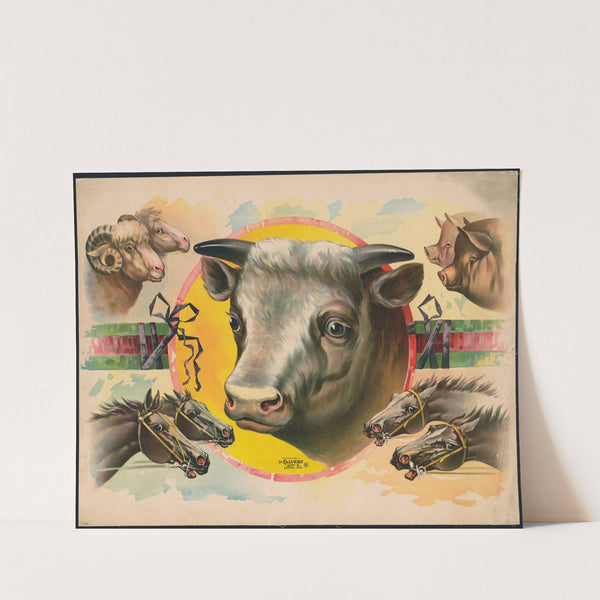 Image of cattle-pigs, cows, sheep, and horses (1891) by Calvert Litho. Co
