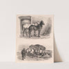 Images of Livestock, Plate 14 (1824) by Henry Walter