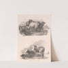 Images of Livestock, Plate 16 (1824) by Henry Walter