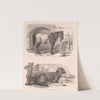 Images of Livestock, Plate 5 (1824) by Henry Walter