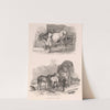 Images of Livestock, Plate 8 (1824) by Henry Walter