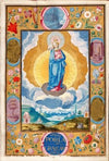 Immacule Conception in Enforceable Charter of chivalry of Arias Pardo de Cela (1601)