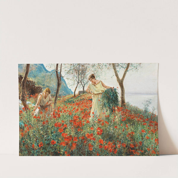 In a poppy field by Peter Conrad Schreiber