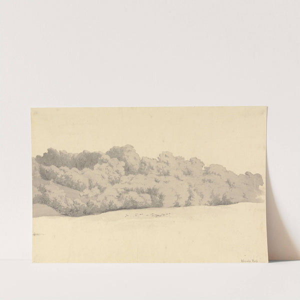 In Knole Park by Robert Hills