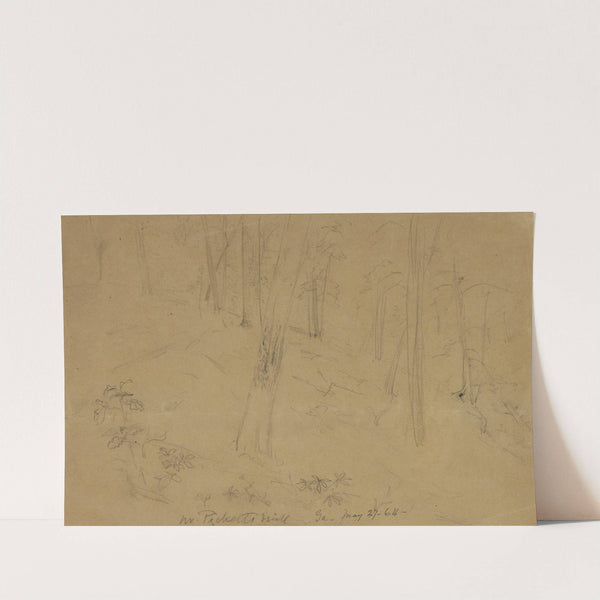 In Picketts Mill, Ga. May 27-64. by Alfred Rudolph Waud