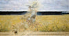 In the Dust Storm (1893-1894)