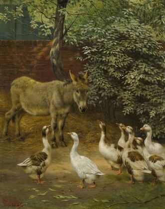 In The Farmyard