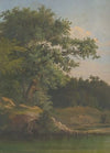 In the Forest