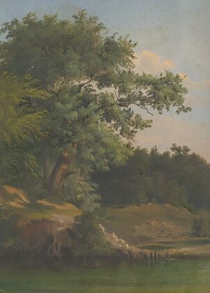 In the Forest