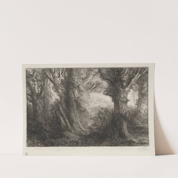 In the Forest at Conteville (c. 1857–1911) by Alphonse Legros