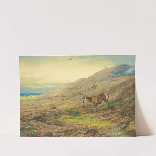 In The Highlands, Red Stag Mobbed By A Pair Of Peregrines (1917) by Archibald Thorburn