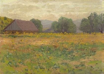 In the Meadow