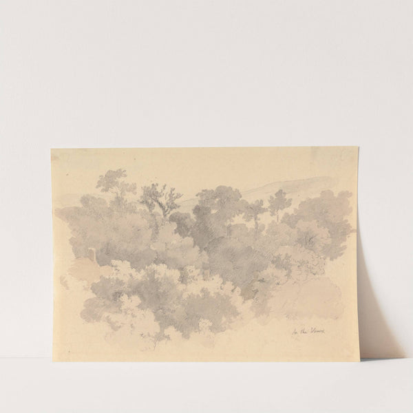 In the Vaux, Jersey by Robert Hills