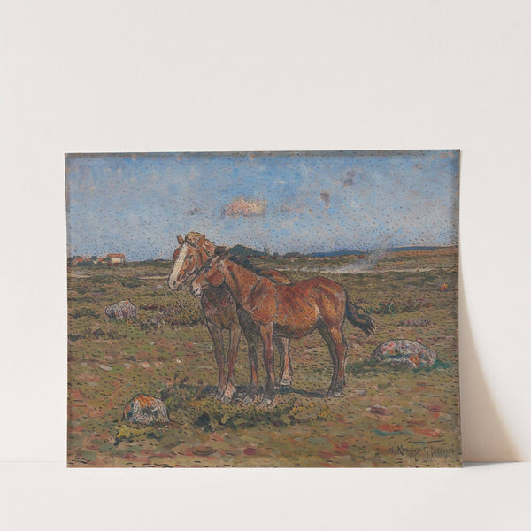 In the Wind by Nils Kreuger