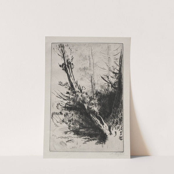 In the Woods (c. 1857–1911) by Alphonse Legros