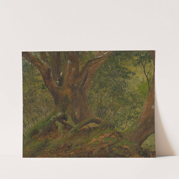 In the woods, Jamaica (1865) by Frederic Edwin Church