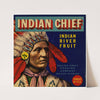 Indian Chief Fruit Label (1930-1950)