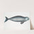 Indian Dugong, Halicora Dugung. by John Edward Gray