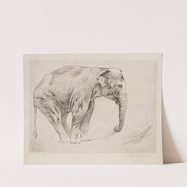 Indian Elephant (1915-1921) by Wilhelm Kuhnert