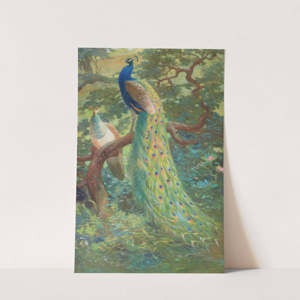Indian Peafowl by Charles Robert Knight