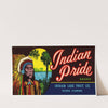 Indian Pride Brand Fruit Label (1930-1950)