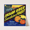 Indian River Sunshine Fruit Citrus Label (1930s)