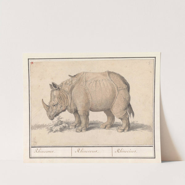 Indische neushoorn (Rhinoceros unicornis) Rhinocerus. Rhinoceros. Rhinocéros.. (1596-1610) by Anselmus Boëtius de Boodt