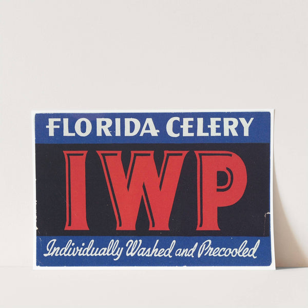 Individually Washed and Precooled Florida Celery Label (1930-1950)