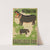Information - Brookfield Zoo by Mildred Waltrip