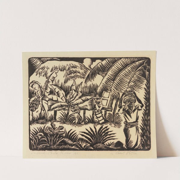 Inland, Porto Rico by Albert Potter