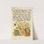 Insect, Moth Mullein, Forget-Me-Not, and Tomato (1561–1596) by Joris Hoefnagel