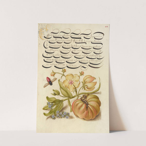 Insect, Moth Mullein, Forget-Me-Not, and Tomato (1561–1596) by Joris Hoefnagel