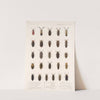 Insecta Coleoptera Pl 086 by Frederick DuCane Godman
