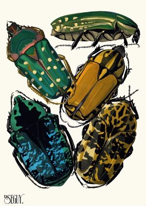 Insectes Pl.04