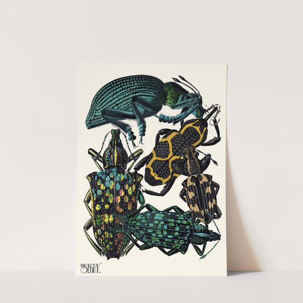 Insectes Pl.06 (1929) by Emile-Allain Séguy