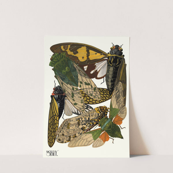 Insectes Pl.12 (1929) by Emile-Allain Séguy