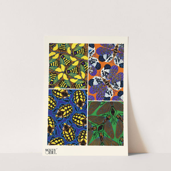 Insectes Pl.13 (1929) by Emile-Allain Séguy
