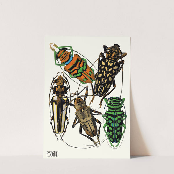 Insectes Pl.15 (1929) by Emile-Allain Séguy