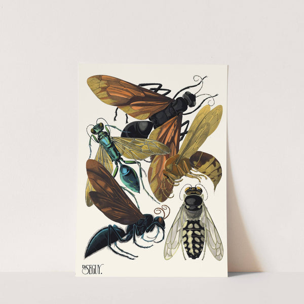 Insectes Pl.17 (1929) by Emile-Allain Séguy