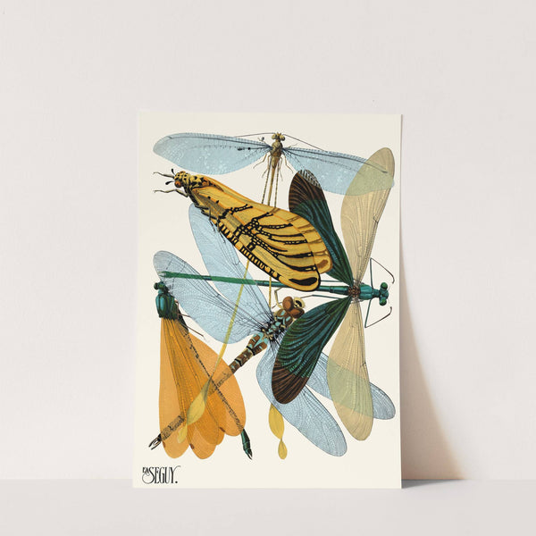 Insectes Pl.20 (1929) by Emile-Allain Séguy