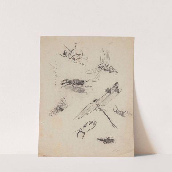 Insects by James Ensor