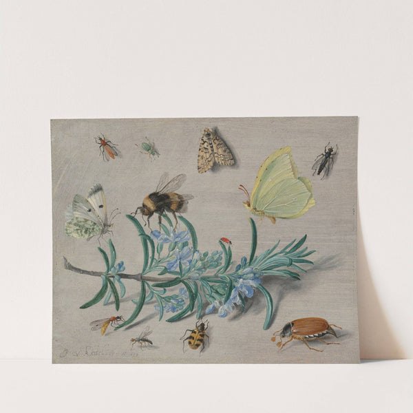 Insects and a Sprig of Rosemary (1653) by Jan Van Kessel The Elder
