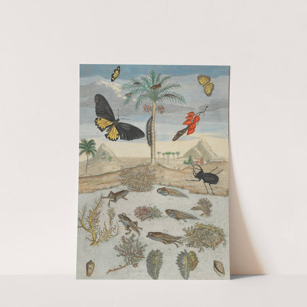 Insects and Fish with Island Background (1705-1771) by Maria Sibylla Merian